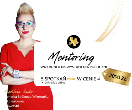 ANDLER MENTORING