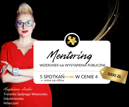 mentoring n